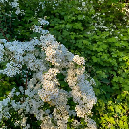 Holiday home Modern House In Gilleleje