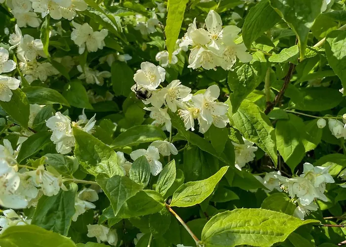 Modern House In Ferienhaus *