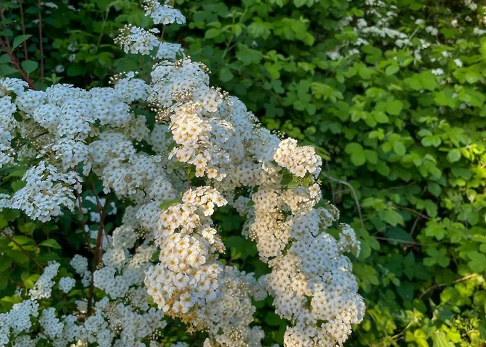 Ferienhaus Modern House In Gilleleje